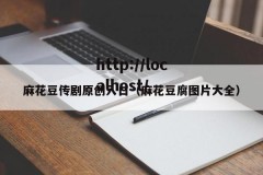 麻花豆传剧原创入口（麻花豆腐图片大全）